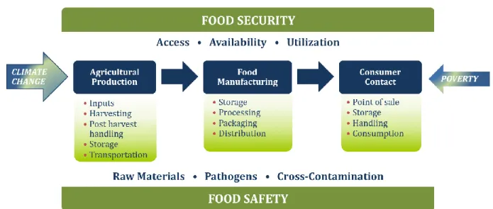 Figure 2 Risks impacting food safety and security throughout the business supply chain  A.1  Fungi: microscopic filamentous fungi 