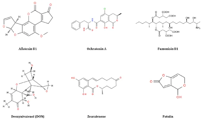 Figure 4 The chemical structures of major mycotoxins
