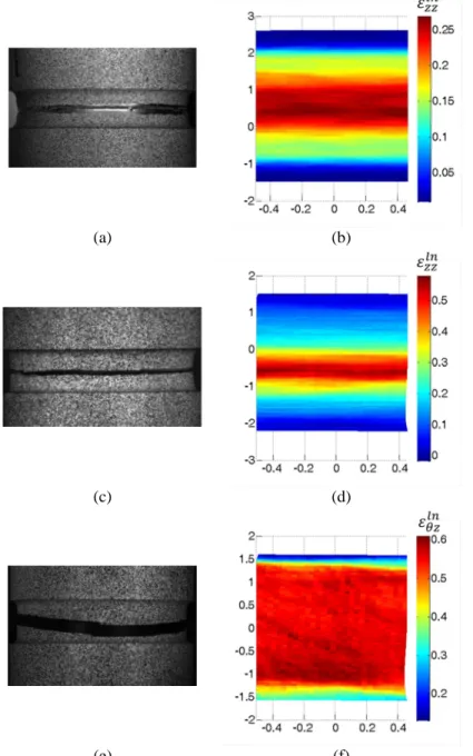 Fig. I-7 Photographs of the fractured specimens and measured surface strain fields at the onset of fracture