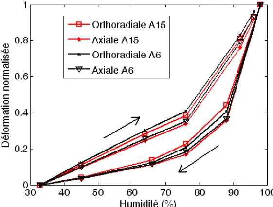 Figure 3-7 : Variation des déformations hydriques normalisées en fonction de l’humidité