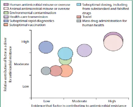 Figure 1 : Poids relatifs des différents facteurs contribuant à l'antibiorésistance 