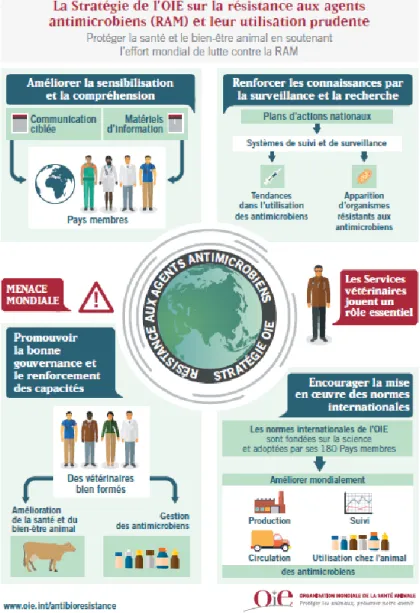 Figure 4 :  Stratégies de l'OIE sur la résistance aux antimicrobiens et leur utilisation prudente  