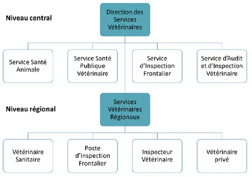 Figure 10 : Organigramme simplifié des Services Vétérinaires (d'après DSV, 2010) 