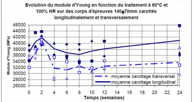 Figure 5 : Evolution du module d’Young sur cylindres conservés à 60°C et 100% HR [Dehaudt, 2002] 