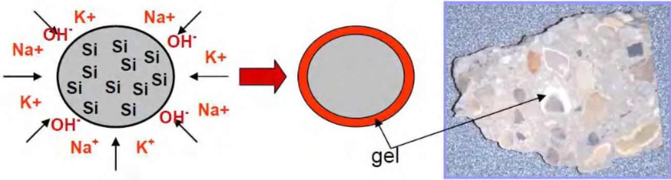 Figure 3 : Schéma représentatif des mécanismes réactionnels considérés dans le modèle chimique de la  RAS 