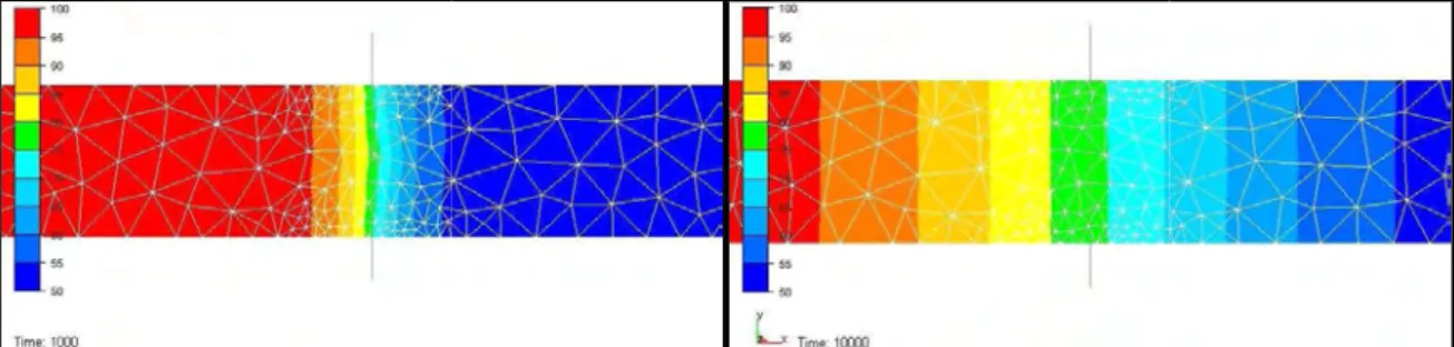 Figure 10 : Visualisation de l’évolution de la concentration (mol/L) dans l’éprouvette à deux instants 