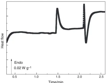 Fig. 1 DSC experimental protocols