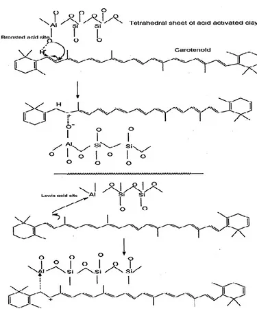 Figure 8. The mechanism of carotenoid adsorption on Brönsted and Lewis acid sites                  (Srasra and Trabelsi-Ayedi, 2000) 