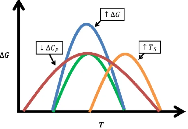 Figure 1.3 - Effet de la modulation des paramètres thermodynamiques sur la courbe  de stabilité protéique 