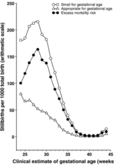 Figure 9 : Mortinatalité et mortalité néonatale chez le porcelet selon le poids de  Figure 8 : Taux de mortinatalité et âge gestationnel à la naissance chez l'Homme (Source : 