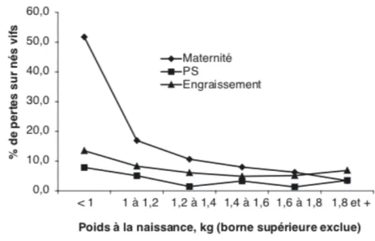 Figure 11 : Taux de mortalité en fonction du poids de naissance chez le porcelet (Source : Le Colzer et al., 2004) 