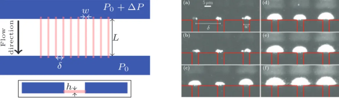 Figure 1.   Sketch of the model pores and micrograph of some clogs. Left: top view of the chip design with zoom  on nanoslits