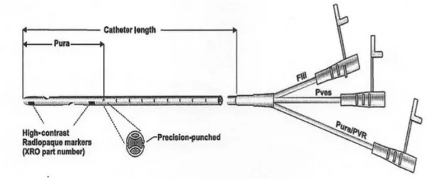 Figure 10 : Sonde à trois lumières pour l’examen urodynamique. (Bartges, Polzin 2011) 