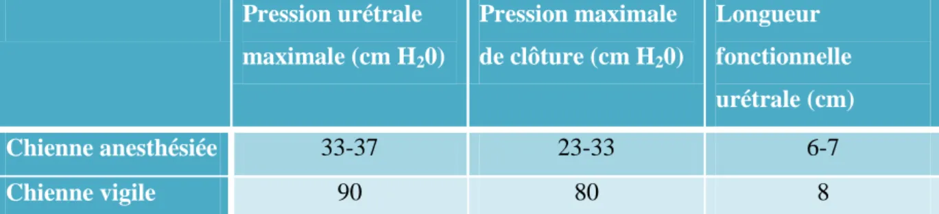 Tableau 1 : Résultats des paramètres urodynamiques mesurés chez la chienne vigile et la chienne  anesthésiée