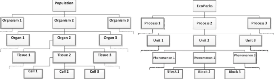 Figure 1 Comparison of scales hierarchization between living organism and process  synthesis 