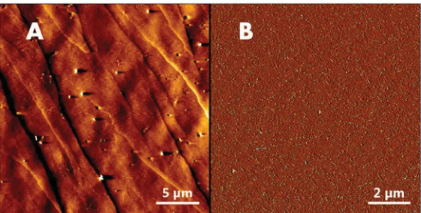 Figure 3. AFM images of A) a graphite surface and B) a Tantalum-coated silicon wafer substrate