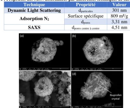 Tableau 1 : Propriétés des MSN déterminées par différentes techniques de caractérisation 