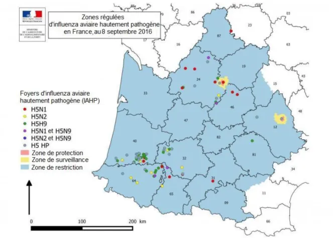 Figure 1 : Carte des foyers  d’IAHP (n=82) déclarés en France entre novembre 2015  et  août  2016,  avec  les  zones  de  protection  et  de  surveillance  autour  des  quatre  foyers détectés après la période de vide sanitaire (d'après la plateforme ESA) 