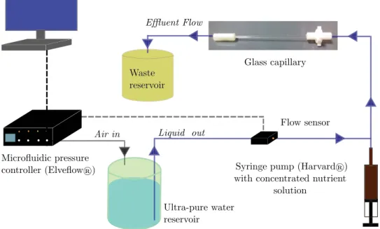 Fig. 1. Fluidic circuit used to grow biofilm for 2 days at fixed flow rate.