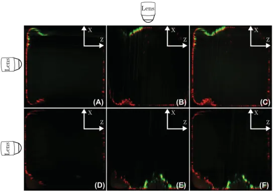 Fig. 3. From left to right: the image acquired with the flow cell positioned at 0 ◦ (A and D), then the image acquired with the flow cell rotated at 90 ◦ (B and E), where the complementary information on the biofilm grown on the top and bottom walls can be
