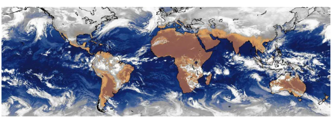 Figure 5.1 – Composite d’images de capteurs géostationnaires pour le 30 janvier 2017 à 12 UTC