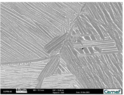 Figure 1.1: Backscattered electron micrograph showing α lamellae colonies in former β grains in a Ti-64 sample (LX2 as received material).