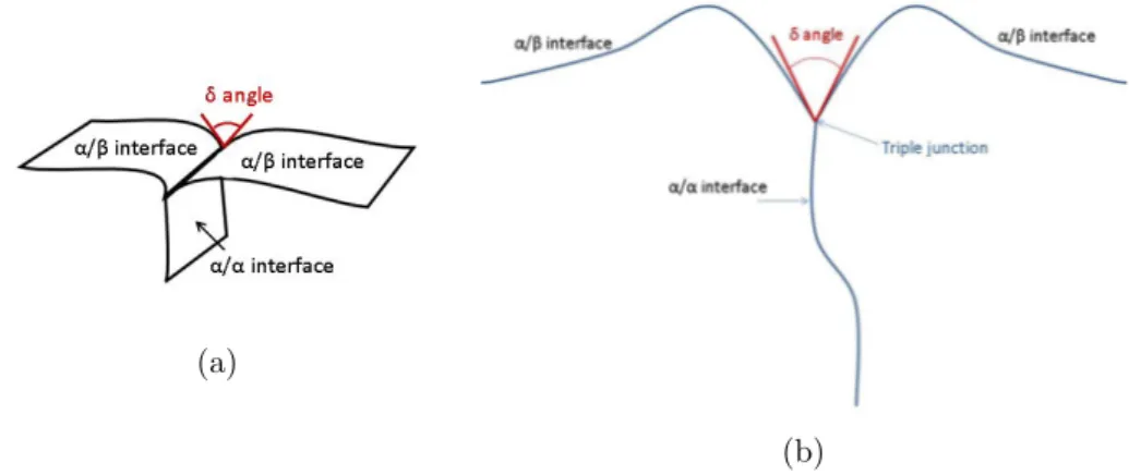 Figure 1.7: Formation of a groove angle due to interaction of a α/α sub- sub-boundary and a α/β interface: (a) a 3D diagram and (b) a 2D diagram.