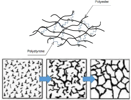 Figure I-XXIII The principle of copolymerisation and post-crosslinking of polyester resins (adapted from 
