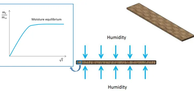 Figure I-XXIX Schematic representation of the UD diffusion of a composite sample exposed to humidity