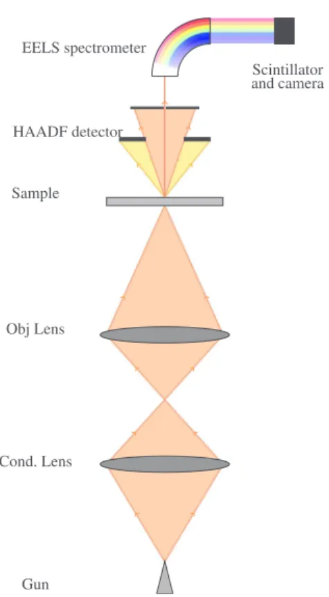 Fig. 1. STEM principle. The electron gun emits an electron beam that is focused on the sample