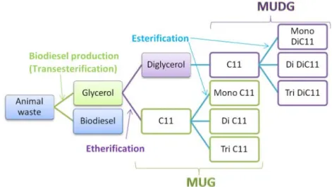Figure 1. Chemical transformations involved in the production of MUG and MUDG.