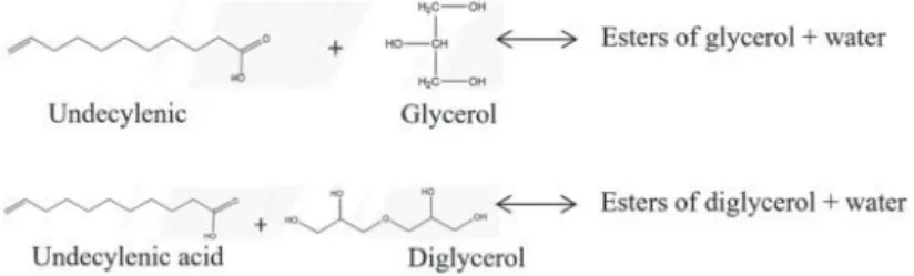 Figure 2. Esteriﬁcation reactions of glycerol and diglycerol with undecylenic acid.