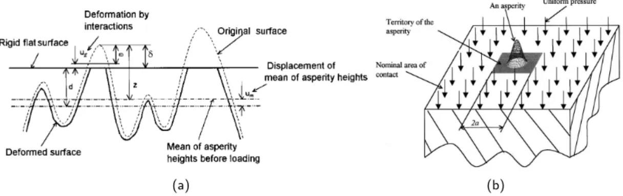 Fig. 1.8 – a) Principe de l’eﬀet de voisinage d’aspérités en contact – b) Territoire d’une aspérité – [ Zhao and Chang, 2001 ].