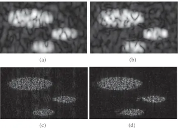 Fig. 4. (a, b) Blurred image with baseband and first harmonic PSF, (c) Estimated TRF using the classical approach for β = 0.0012, µ = σ 2 and α = 0.01, (d) Estimated TRF using the proposed method.