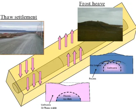 Figure I.7 : Schematic illustration of line pipe deformation due to thaw settlement or frost heave