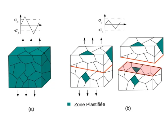 Figure 1.6 – Représentation schématique de la plastification pour (a) la fatigue oligocyclique et (b) la fatigue d’endurance illimitée.