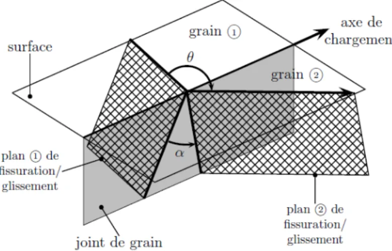 Figure 1.14 – Schématisation de la propagation cristallographique d’une fissure le long des plans de glissement [Proudhon 05a].
