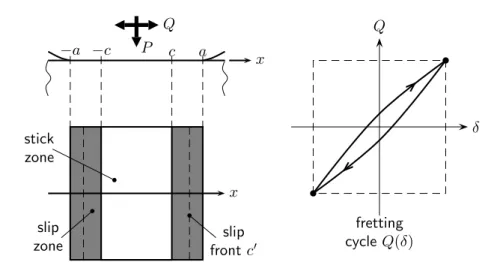 Figure 2.2 – Représentation schématique dans un modèle Cylindre/Plan du front de glissement lors d’un essai de fretting en glissement partiel.
