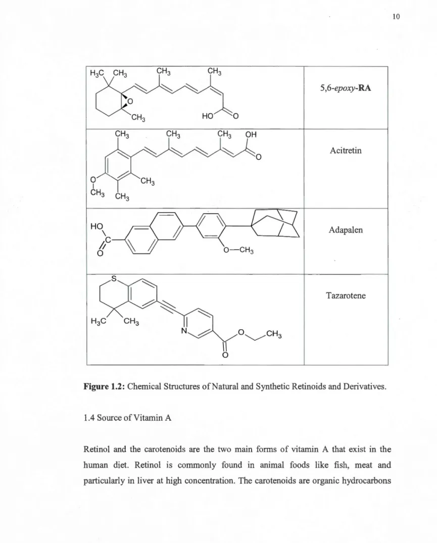 Figure 1.2:  Chemical Structures of Natural and  Synthetic Retinoids and Derivatives. 