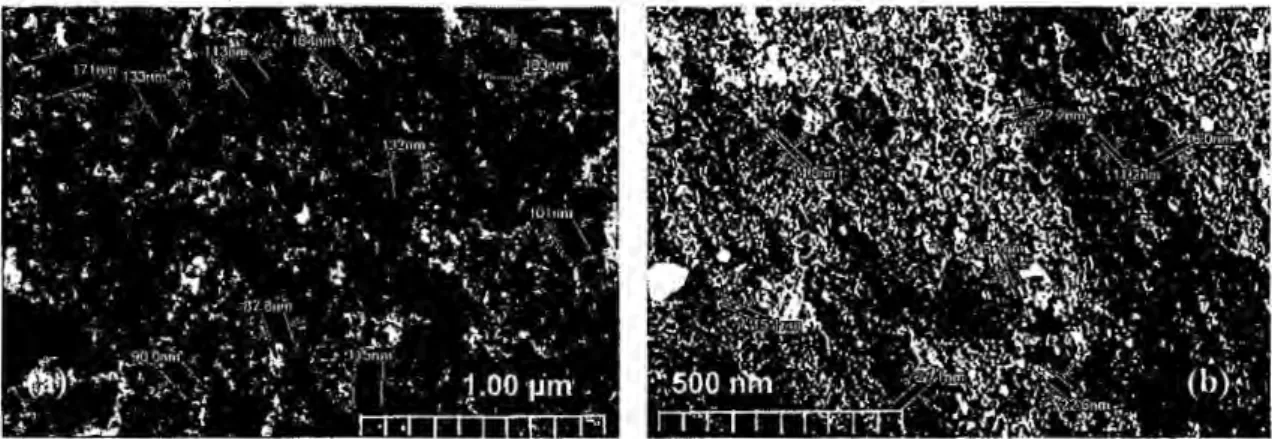 Fig. 2. SEM images of (a) CBAC and (b) CBD electrodes 