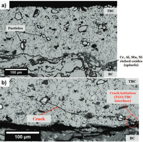 Fig. 6. Evolution of damaging during thermal cycling at 1100 °C of a complete self-healing TBC system made by spark plasma sintering of a mixture of YPSZ powder and 10 vol% encapsulated MoSi 2 (B) based particles sintered on a NiCrAlY coated substrate.