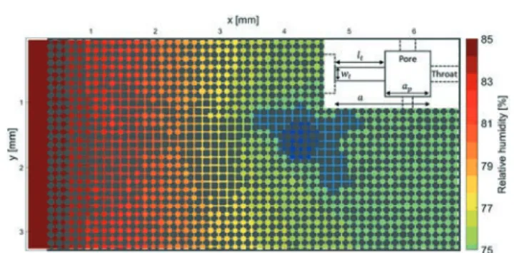 Fig. 2 Realization of the pore network model based on the specific geometry of the 2D hydrophilic porous medium experiment after 6 h