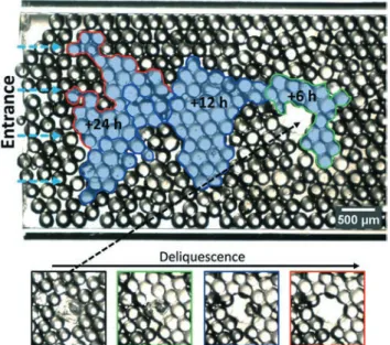 Fig. 3 Microscopy image for hydrophilic 2D porous medium after deliquescence. Vapour has entered the porous media from the left, is absorbed by the NaCl crystal (which was located in the big pore) and consequently dissolves the crystal in the given final b