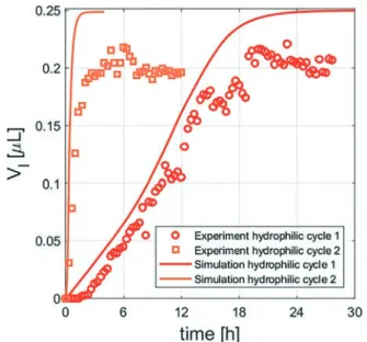 Fig.  8  Microscopy image for the hydrophilic  2D porous  medium after  4  h  of  drying  (RH  =  6  ±  2%)  which  followed  after  the  deliquescence  process   (see  Fig