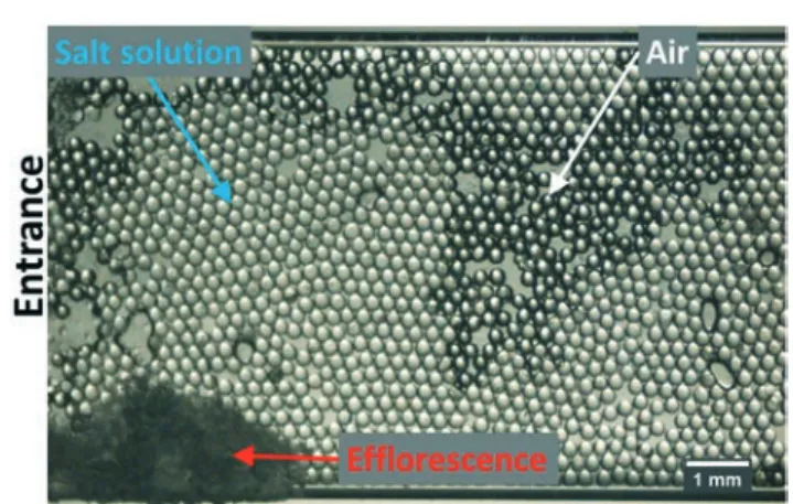Fig. 10 Microscopy image of a 2D bimodal porous medium, the entrapped crystals are washed out after the sintering procedure.