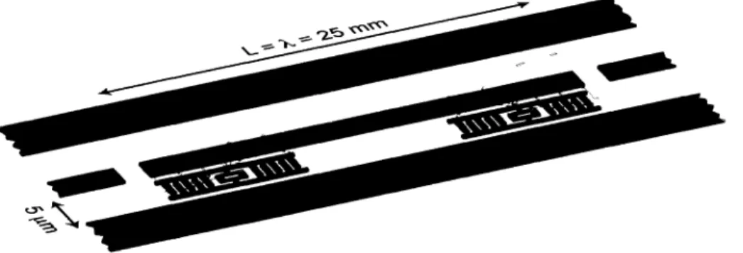 FIGURE 1.10 - Deux qubits couplés à un résonateur pour effectuer une mesure de parité