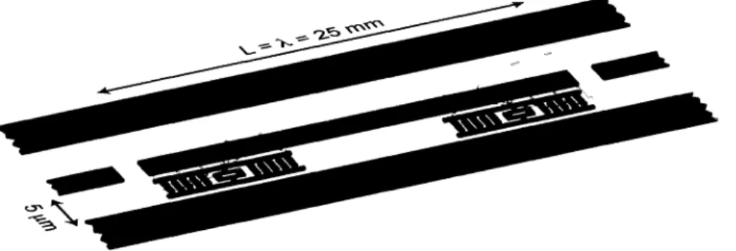 FIGURE 1.10 - Deux qubits couplés à un résonateur pour effectuer une mesure de parité