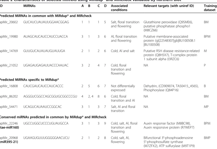 Table 2 Characteristics of selected miRNAs using MiRdup* and MIRcheck validated by northern blot