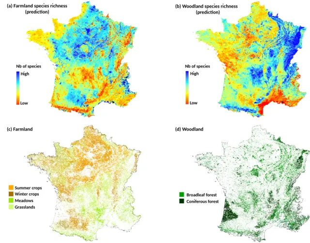 Figure 6. Prediction maps of species richness for farmland (a) and woodland (b) birds at French