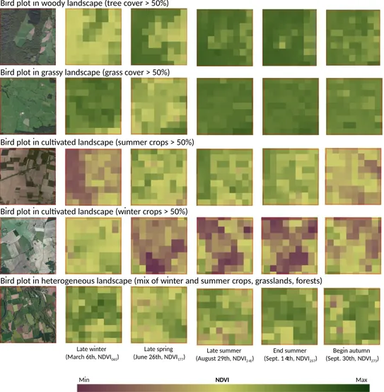 Figure 8. Seasonal patterns of MODIS NDVI 16-day-composit products in 2010 (250-m spatial